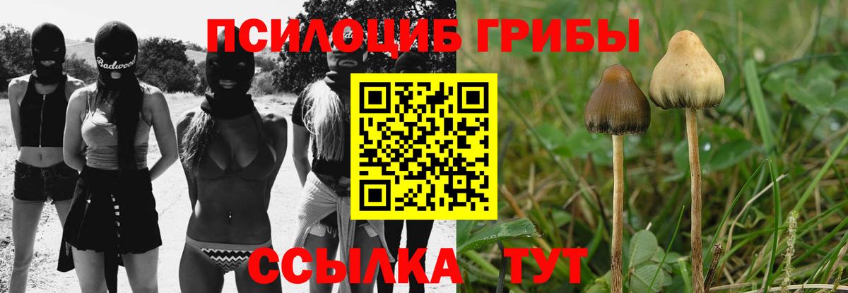 Галлюциногенные грибы ЛСД  Вход с VPN  Карпинск 