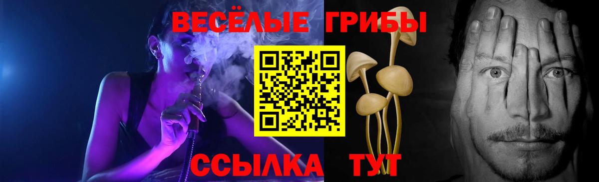 Галлюциногенные грибы мухоморы Карпинск